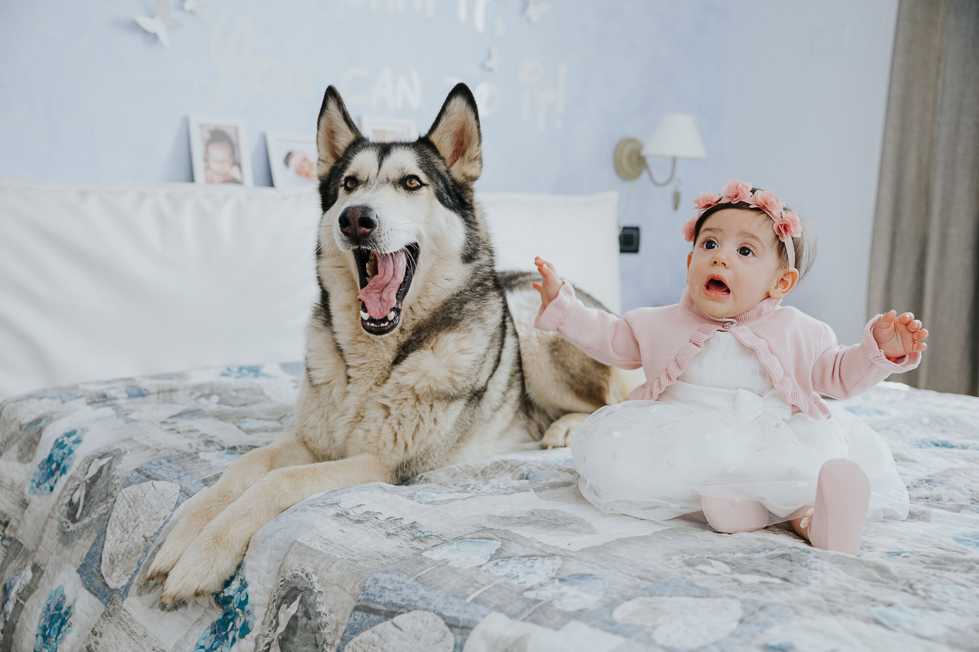 Husky a bocca aperta e bimba con cerchietto rosa che alza le mani, toni pastello, battesimo