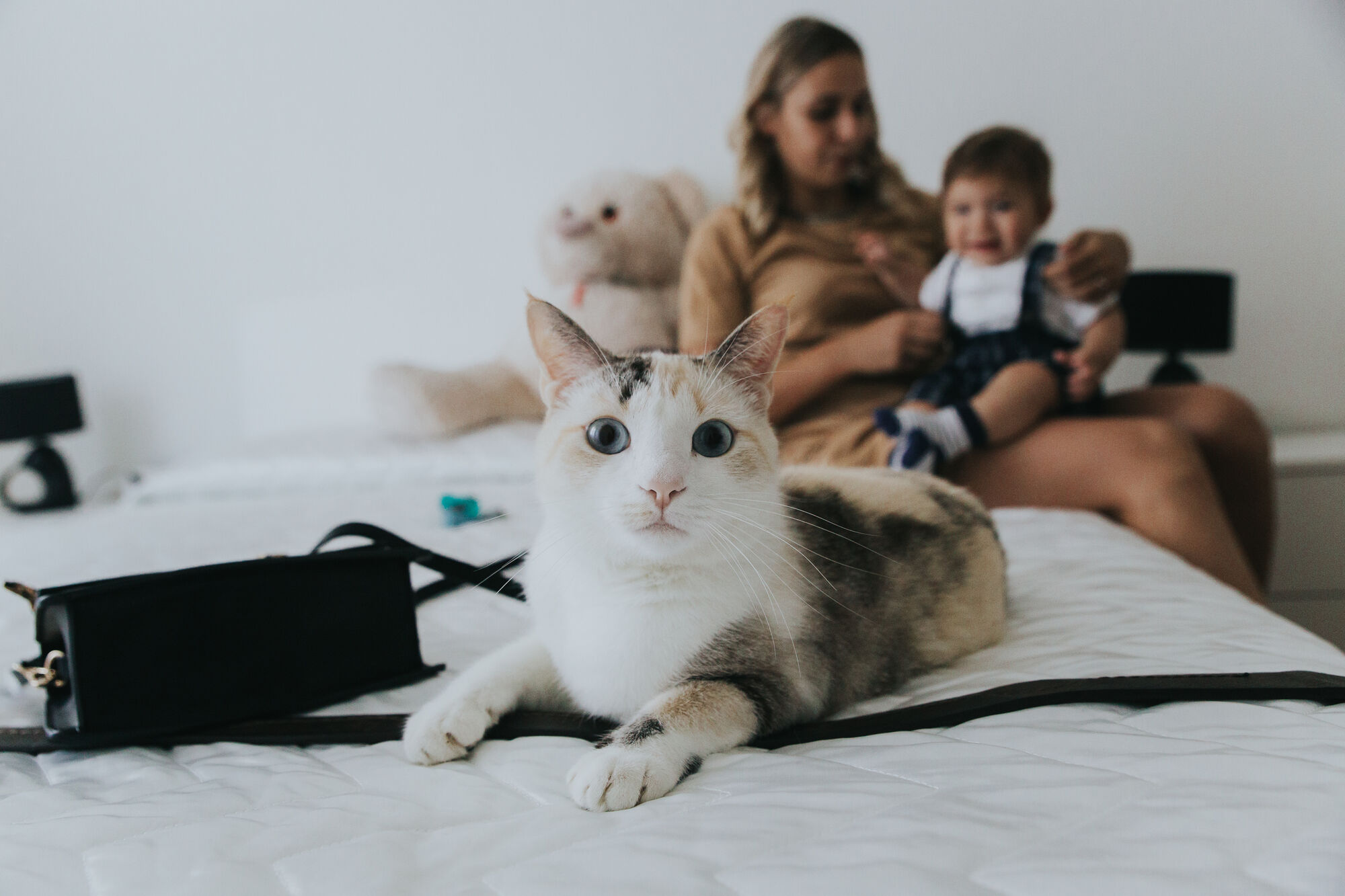 Gatto bianco in primo piano sul letto, mamma con il bimbo vestito a festa dietro, battesimo